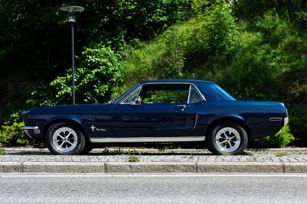 Mustang-9637